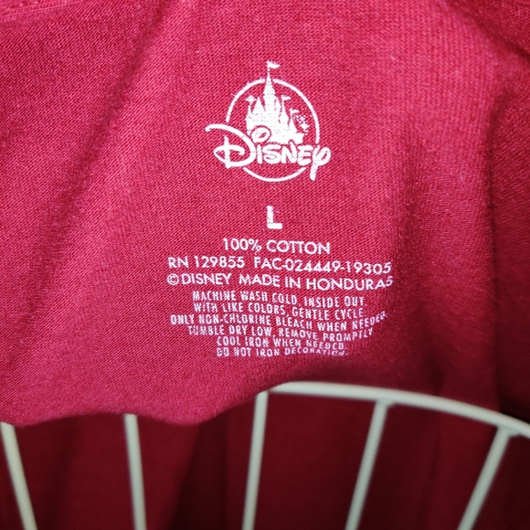 Disney Animal Kingdom Christmas - Picture 5 of 5